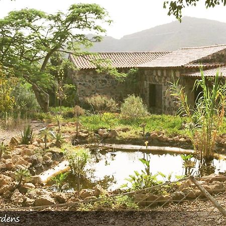 Live Finca San Miguel San Miguel de Abona Zewnętrze zdjęcie