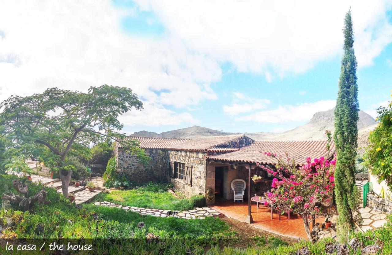 Live Finca San Miguel San Miguel de Abona Zewnętrze zdjęcie