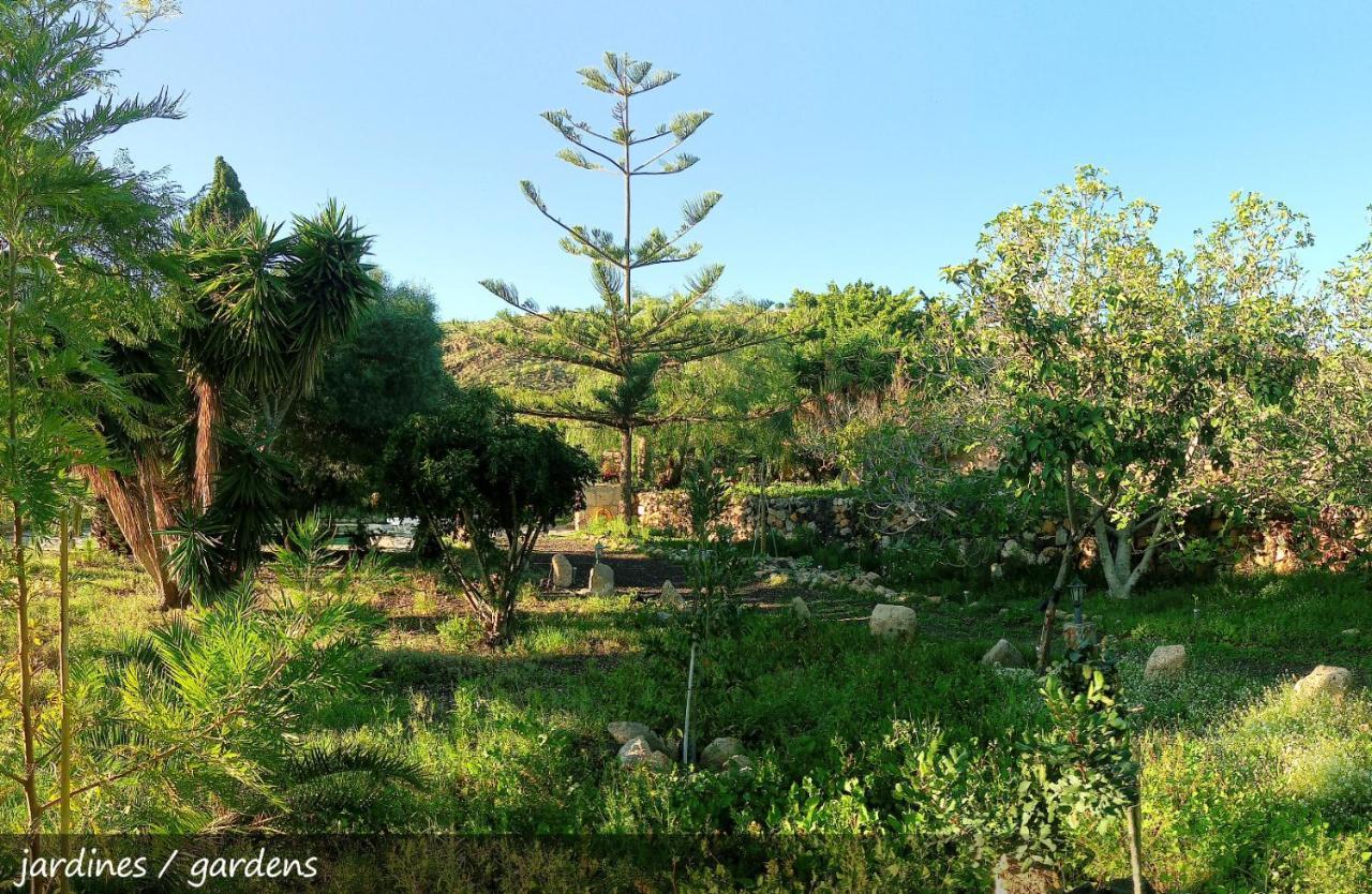 Live Finca San Miguel San Miguel de Abona Zewnętrze zdjęcie