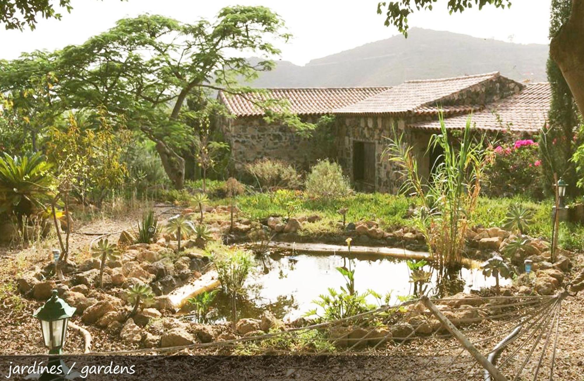 Live Finca San Miguel San Miguel de Abona Zewnętrze zdjęcie
